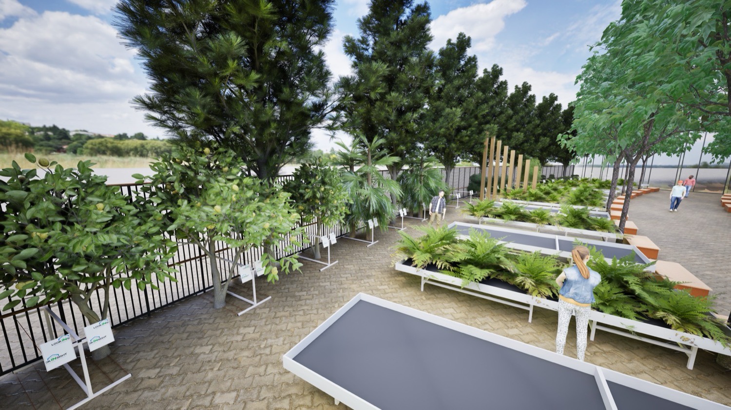 Gartenwelt Emsbüren: citrus trees and nursery stock along the fence line